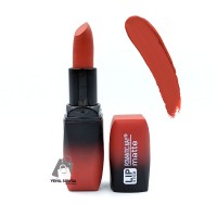 Pomada "Lip stick matte" (yapyk gonur)