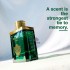 Parfyum "Aventos green" 100ml (arab) unisex