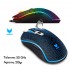 Mouse "Rapoo" V25S igrawoy USB-li